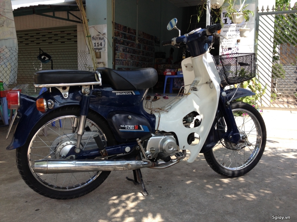 Honda Cub 50cc Semi – Automatic Motorbike Rental